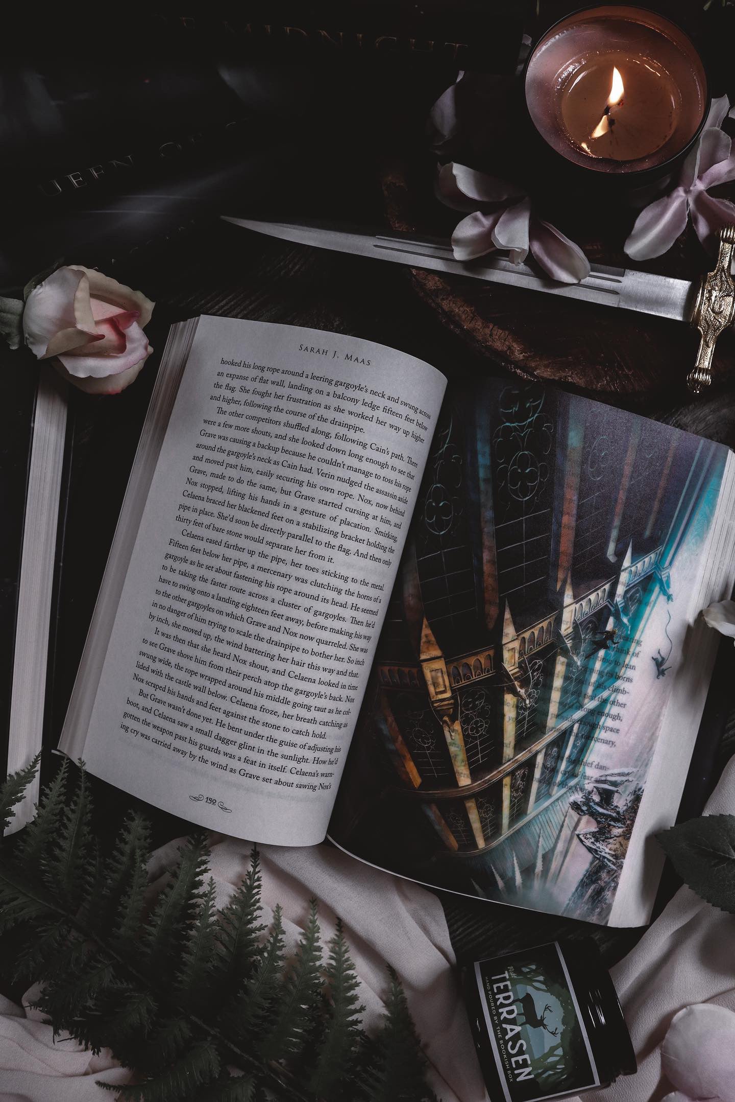 Throne of Glass Cinematic Overlays - Bloomsbury Existing Edition