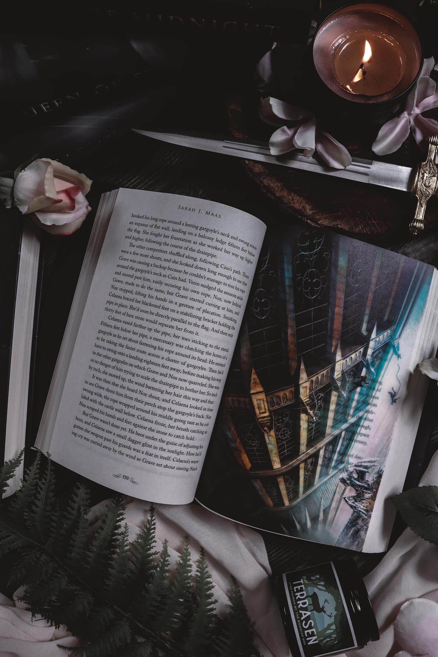 Throne of Glass Cinematic Overlays - New Bloomsbury Edition
