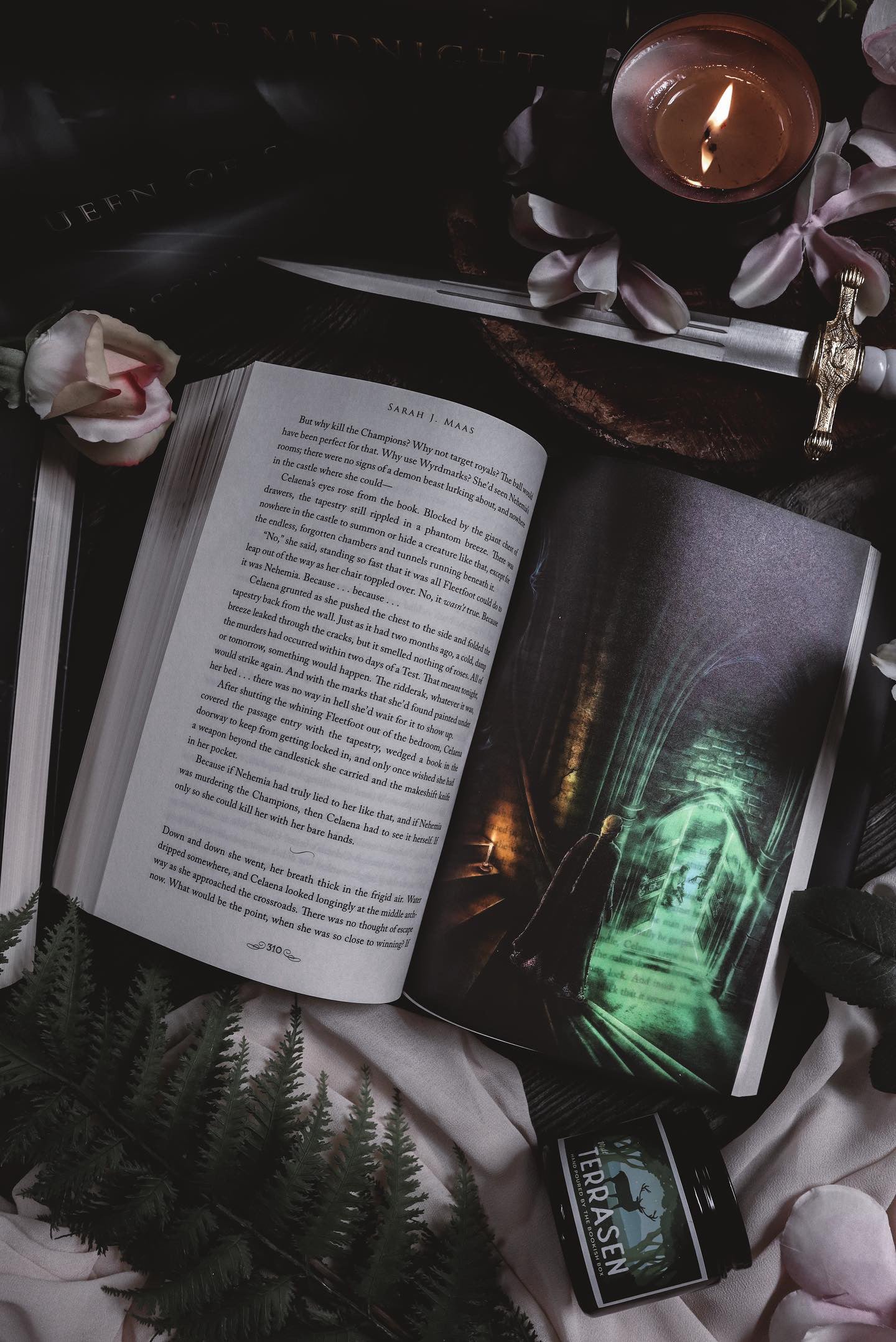 Throne of Glass Cinematic Overlays - Bloomsbury Existing Edition