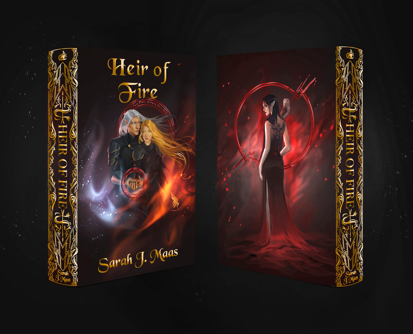 Throne of Glass Dust Jacket Set