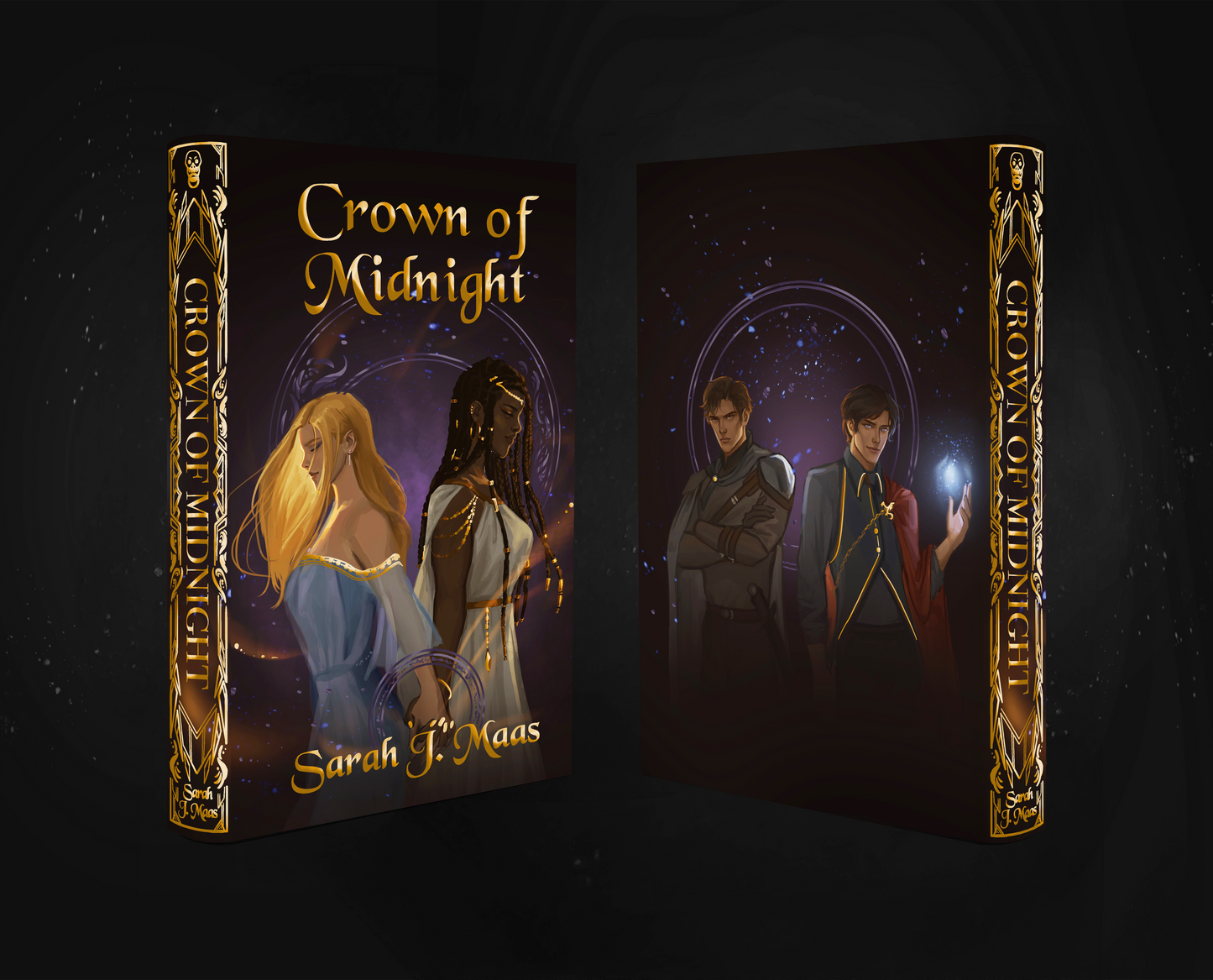 Throne of Glass Dust Jacket Set