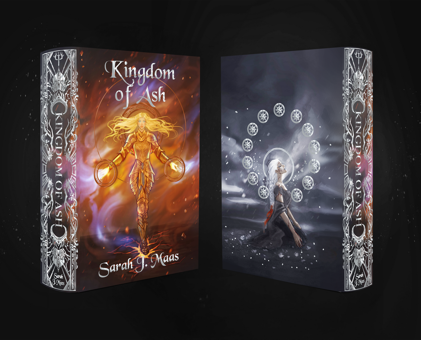 Throne of Glass Dust Jacket Set