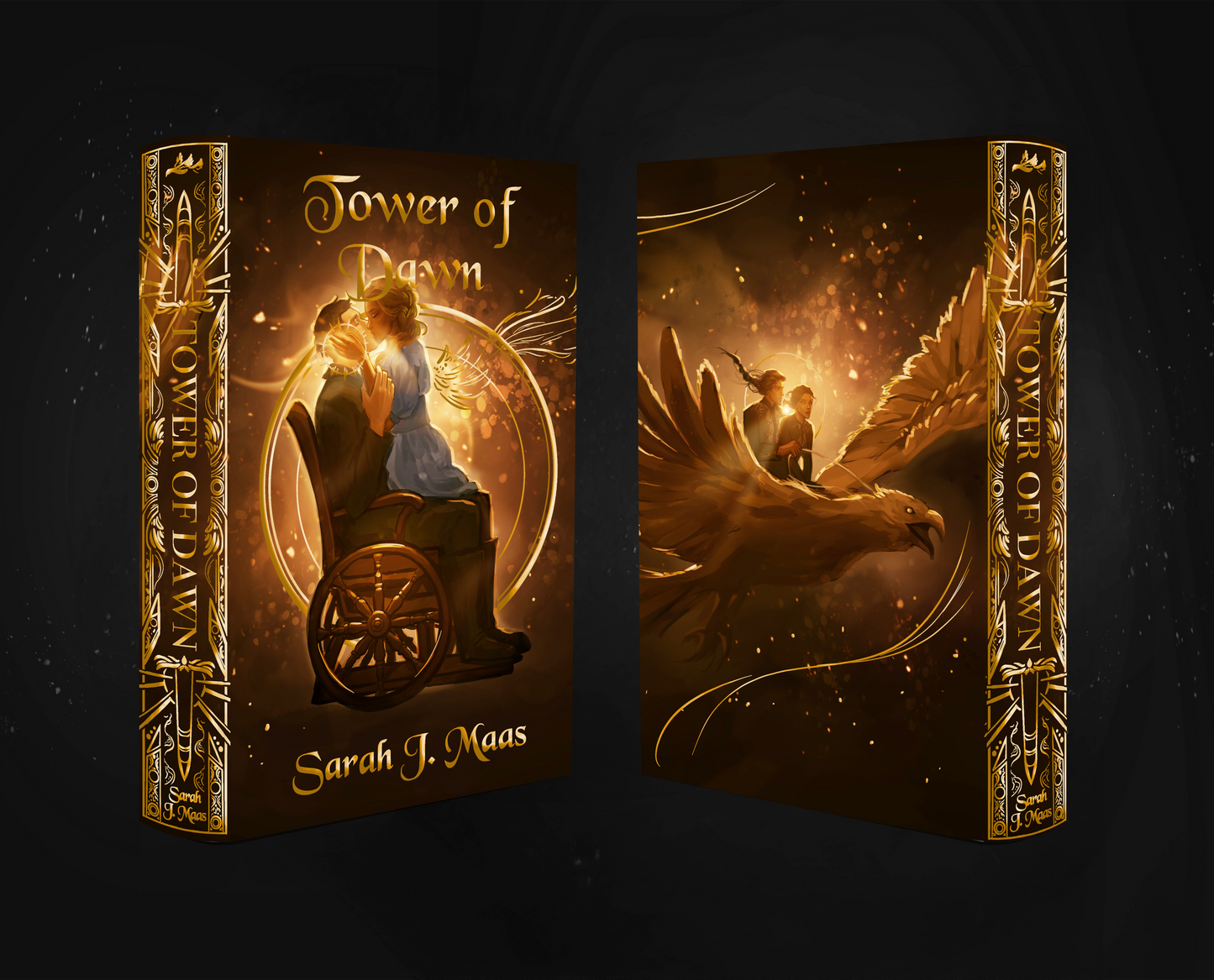 Throne of Glass Dust Jacket Set