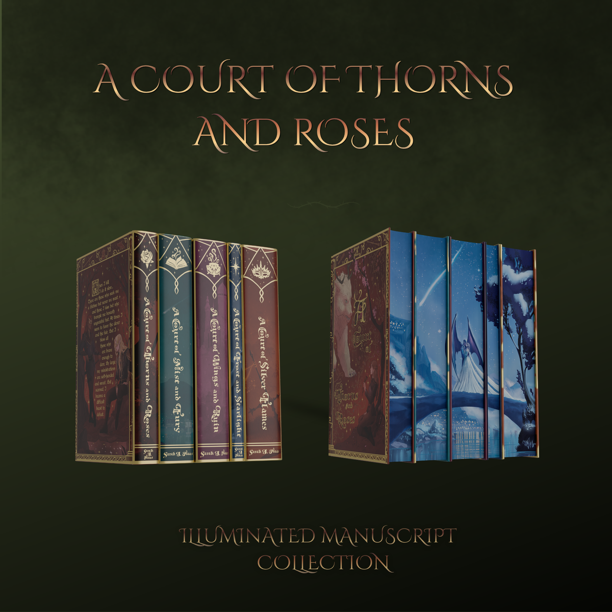 ACOTAR Illuminated Manuscript Collection (fan made customized copies)