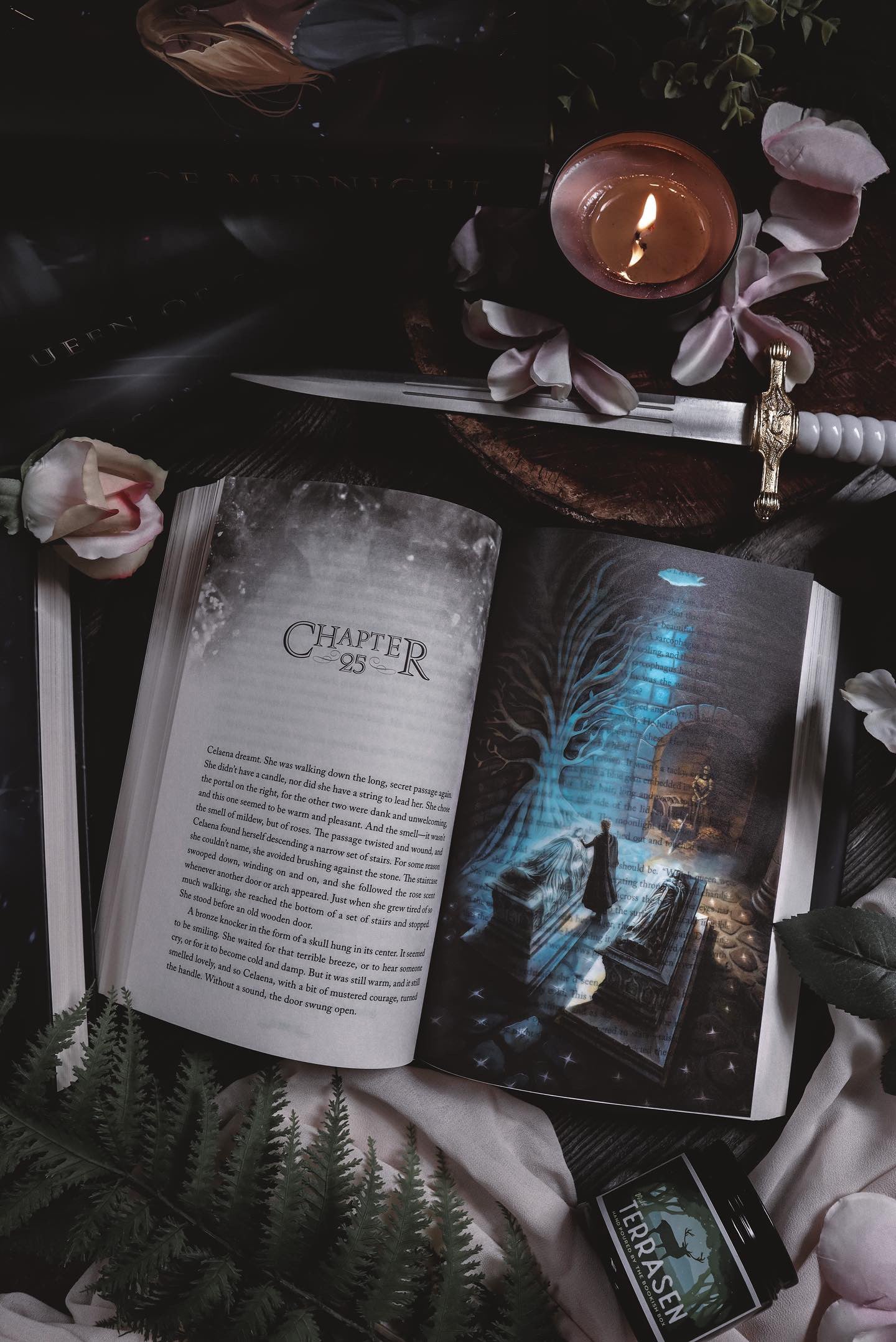 Throne of Glass Cinematic Overlays - Bloomsbury Existing Edition