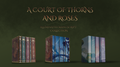 ACOTAR Illuminated Manuscript Collection (fan made customized copies)