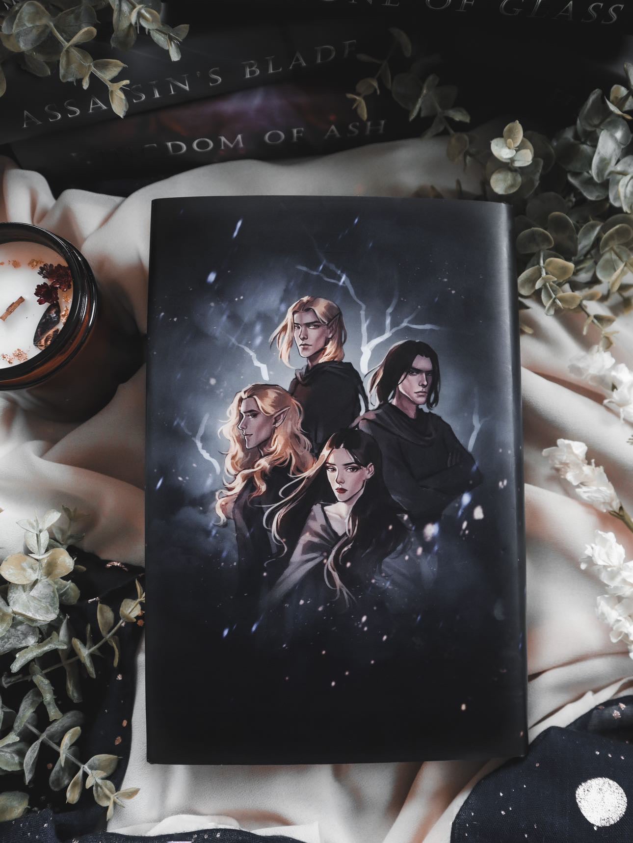 Throne of Glass Dust Jacket Set